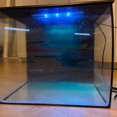 Fluval akvarium 32 liter med LED lys og utstyr