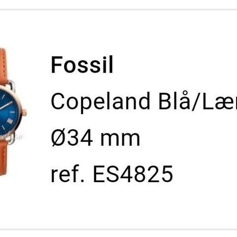 Fossil klokke