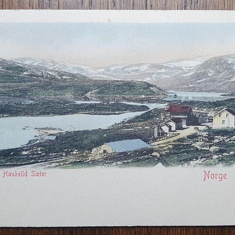 Postkort - Norge, Haukelid Sæter (M, & Co. VI, 56)