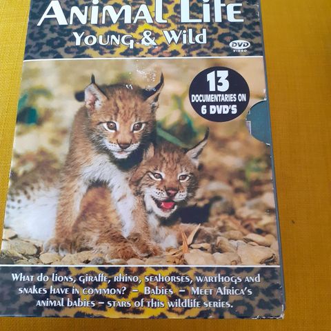Animal Life. Young & Wild 6 DVD- boks selges