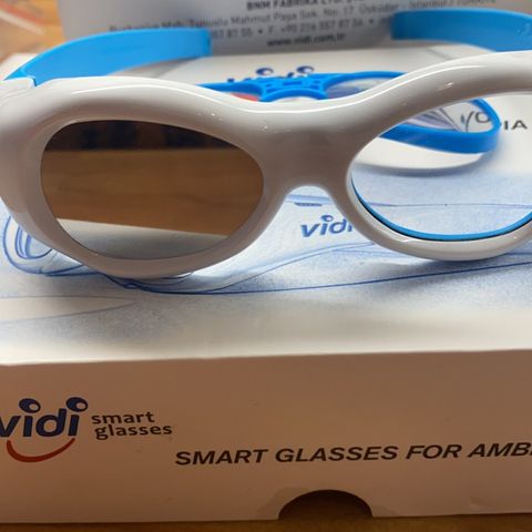 smart glasses