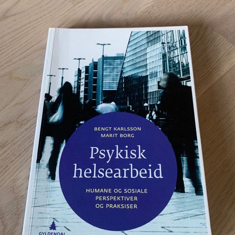 Psykisk helsearbeid humane og sosiale perspektiver og praksiser