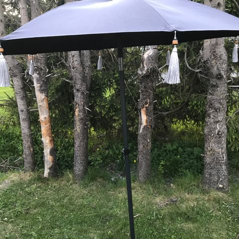 parasol