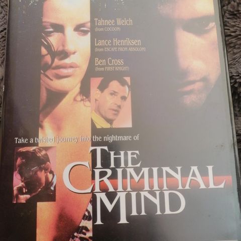 The criminal mind
