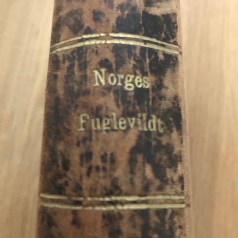 Norges fuglevildt 1881 av J. B. Barth