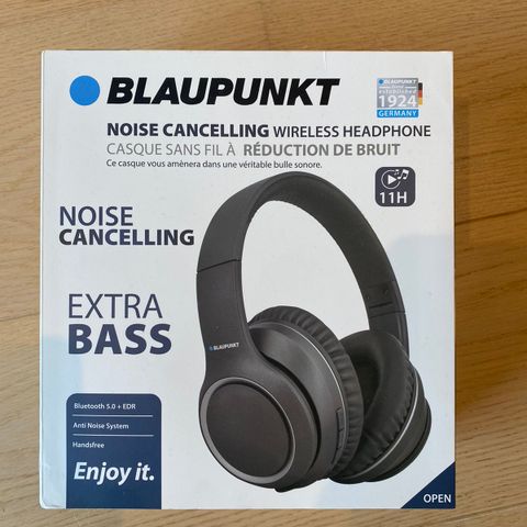 Blaupunkt noise cancelling