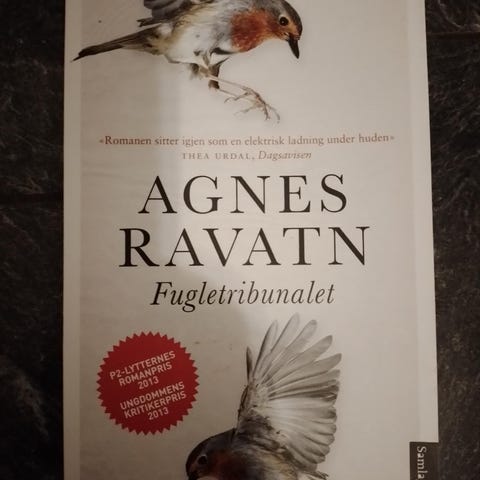 Annonsebilde