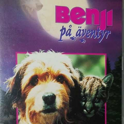 DVD.WALT DISNEY.BENJI PÅ EVENTYR 1987.