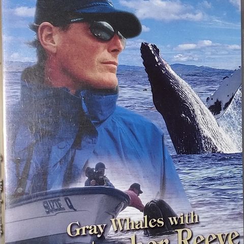 DVD.GRAY WHALES WITH CHRISTOPHER REEVE.Dokumentar.