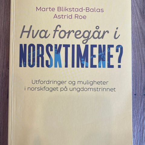 Hva foregår i norsktimene?