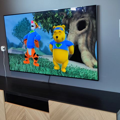 LG 55" OLED G1 EVO Gallery Design