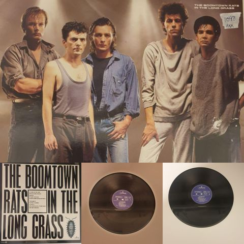 VINTAGE/RETRO LP-VINYL "THE BOOMTOWN RATS/IN THE LONG GRASS 1984"