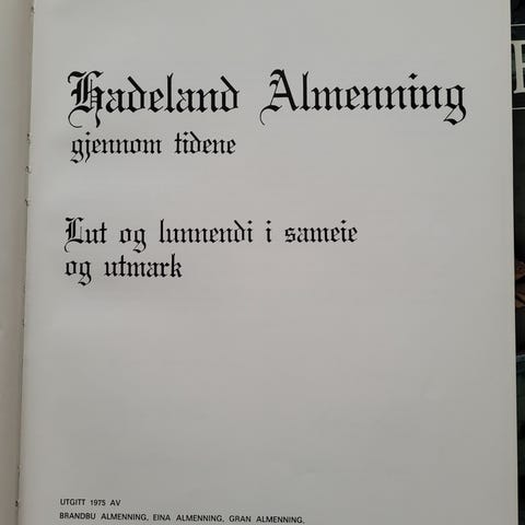 Annonsebilde