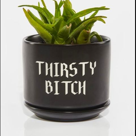 Thirsty Bitch Plantepotte