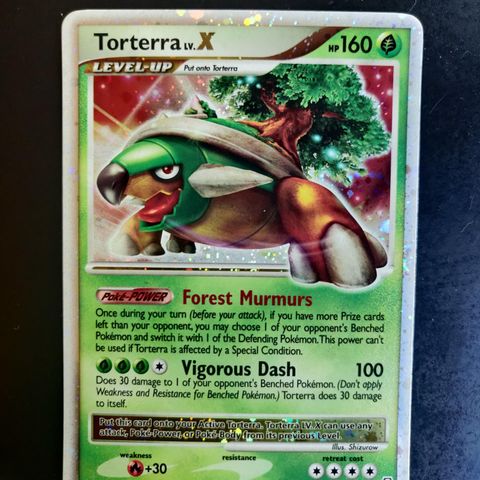 Meget flott Torterra Lv X holo!