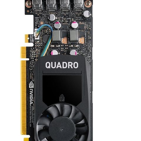 NY NVIDIA Quadro P1000 Full Professional Performance GPU Pascal ! - Gi BUD!