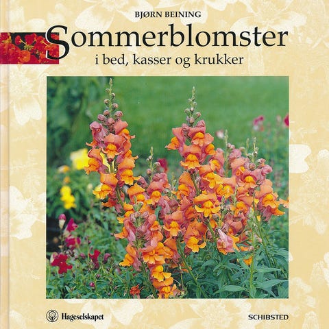 Annonsebilde