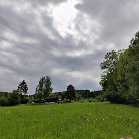Annonsebilde