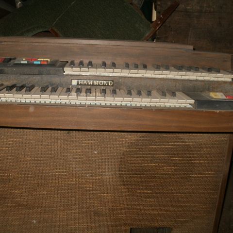 Hammond Orgel