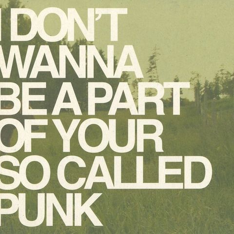 Various – I Don't Wanna Be Part Of Your So Called Punk, 2010