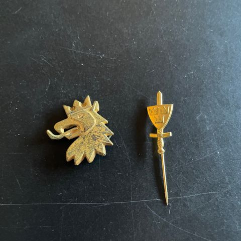 Svenske militær pins