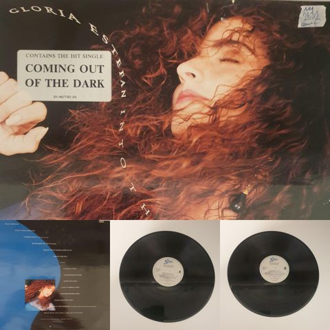 VINTAGE/RETRO LP-VINYL "GLORIA ESTEFAN/IN TO THE LIGHT 1991"