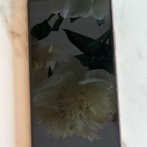 Iphone 11 PRO gull 64GB