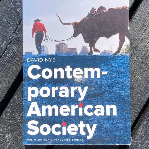 Contemporary american society