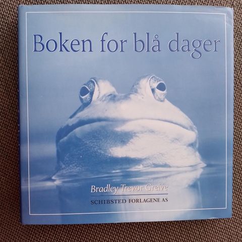 BOKEN FOR BLÅ DAGER - Bradley Trevor Greive