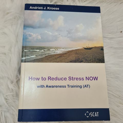 How to reduce stress now av Andries J. Kroese