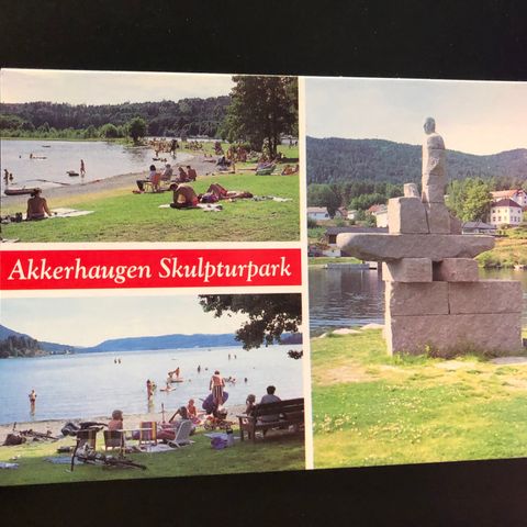 Akerhaugen kulturpark, Telemark, ubrukt (1616 E)