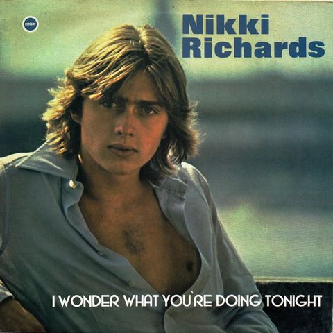 Nikki Richards* – I Wonder What You're Doing Tonight ( LP, Album 1978)
