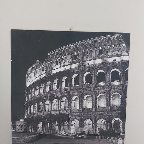 SKILT. Bilde. Roma. Colosseo.