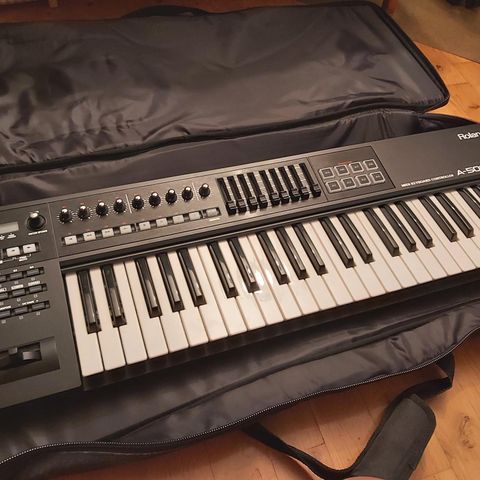 Roland A500 PRO with Bag