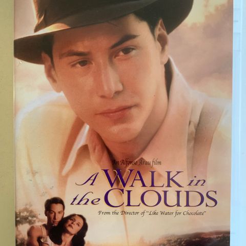 A Walk In The Clouds (norsk tekst)