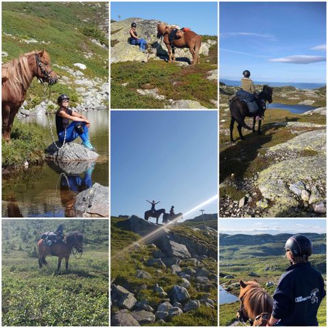 Fjellridning i sommerferien?