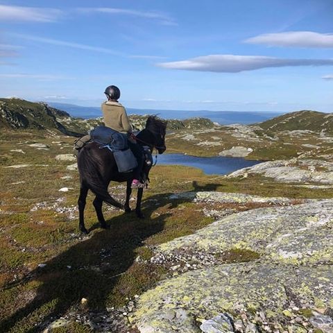 Rideweekend på vakre Hollane, Lifjell. 1 ledig plass.