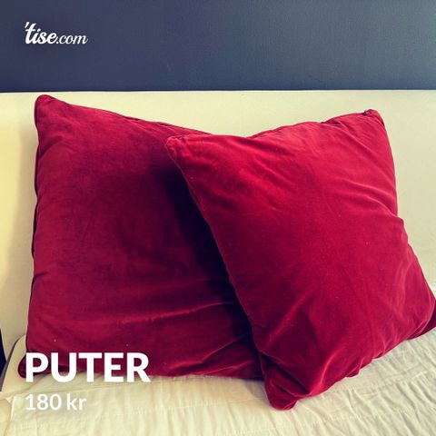 puter