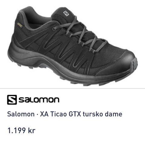 Salomon tursko gtx.