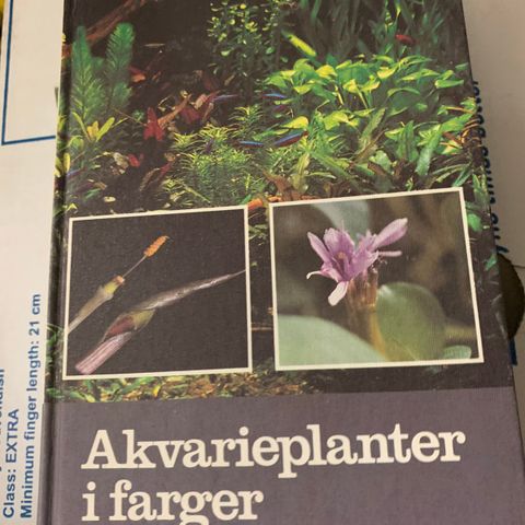 Akvarieplanter i farger til salgs.