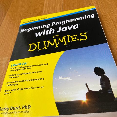 Beginning Programming With Java For Dummies