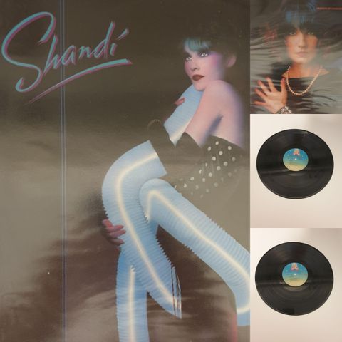 VINTAGE/RETRO LP-VINYL "SHANDI 1980"