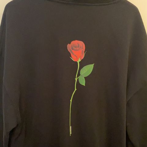 Balenciaga Rose Zip