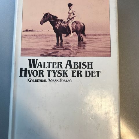 Hvor tysk er det av Walter Abish