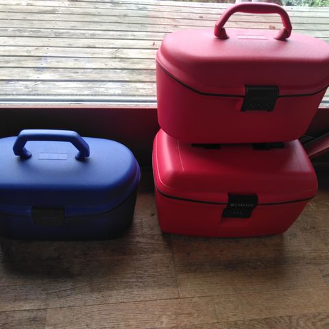 Carlton Samsonite  beauty case