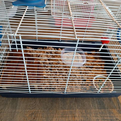 Hamster bur selges