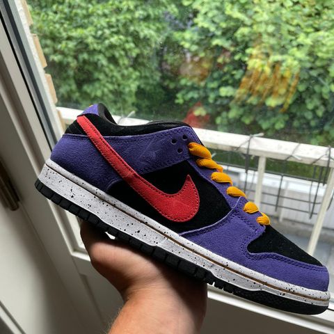 Nike Dunk SB Low ACG Terra