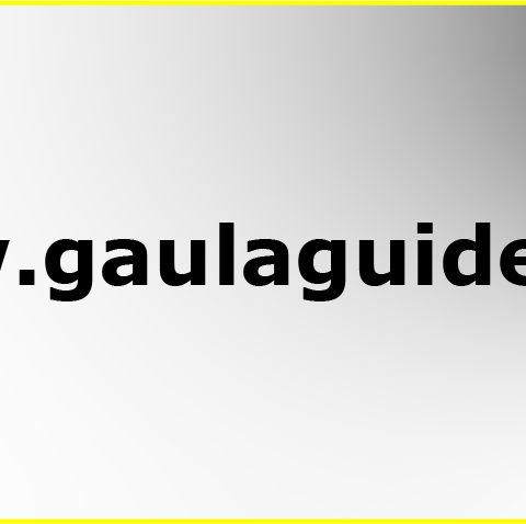 Domene: www.gaulaguiden.no