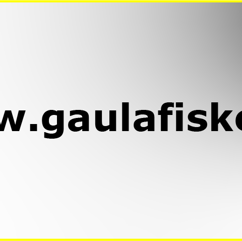 Domene: www.gaulafiske.no