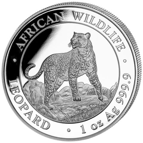 2022 Somalia 1 oz Silver African Wildlife Leopard